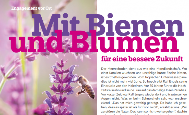 Blumen.PNG